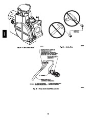 Carrier Owners Manual page 38